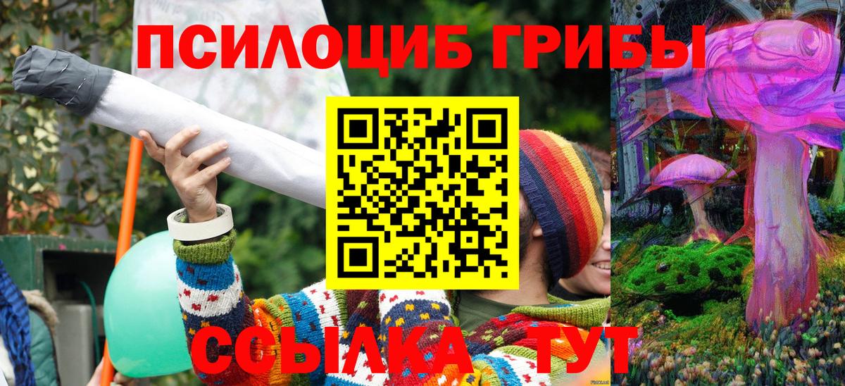 Псилоцибиновые грибы GOLDEN TEACHER Курчатов