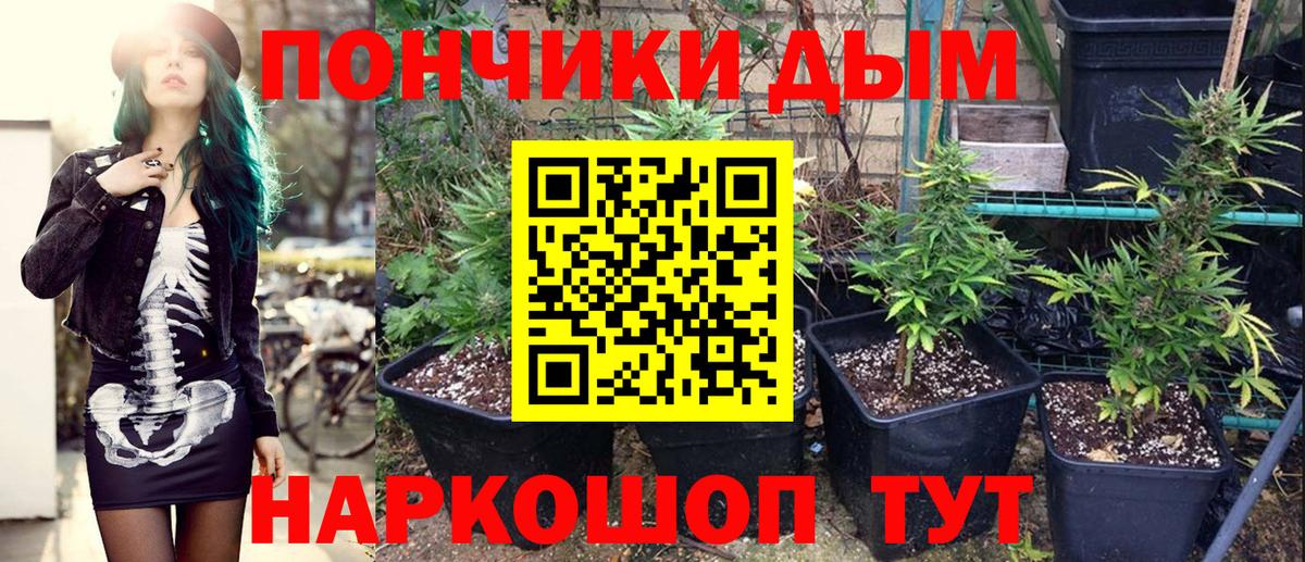 Курчатов  Бошки марихуана THC 21%  Бошки марихуана VHQ  Вход с VPN  Бошки Шишки конопля 